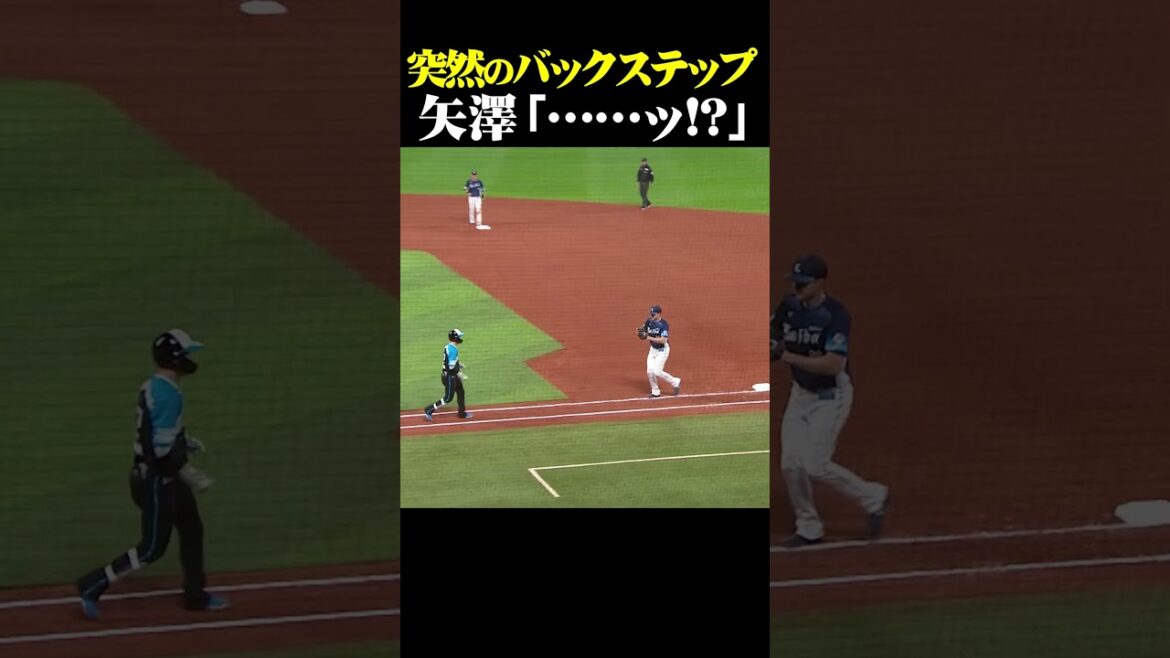 突然のバックステップに困惑… #shorts