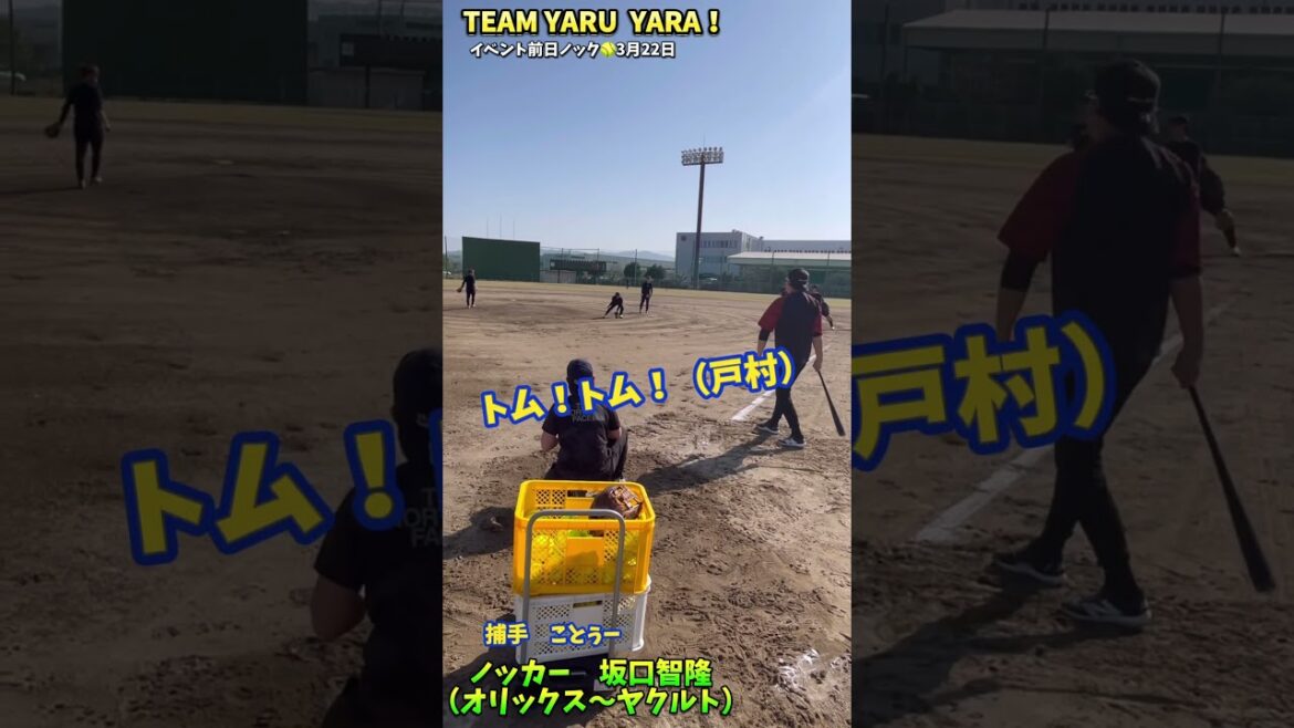 【これが元JDリーガー達の実力！】TEAMYARU YARA！！坂口智隆選手 #ソフトボール #野球 #softball #甲子園 #好プレー集#日本代表 #可愛い #美女 #korean