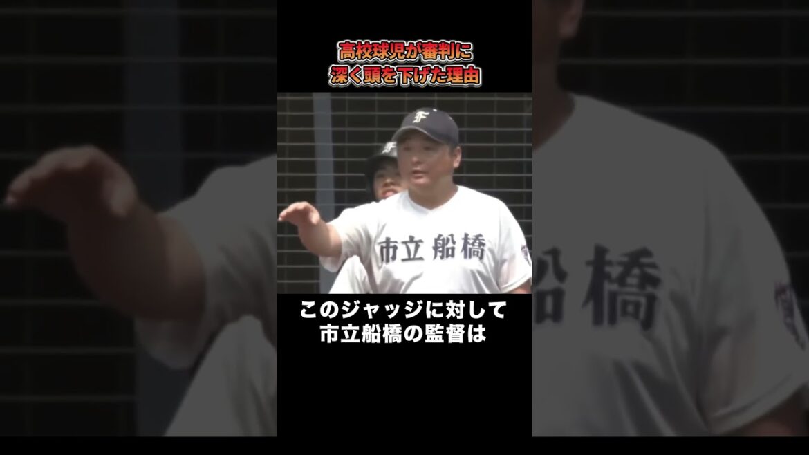 高校野球で伝令が審判に深く頭を下げた理由 #野球 #プロ野球 #野球雑学