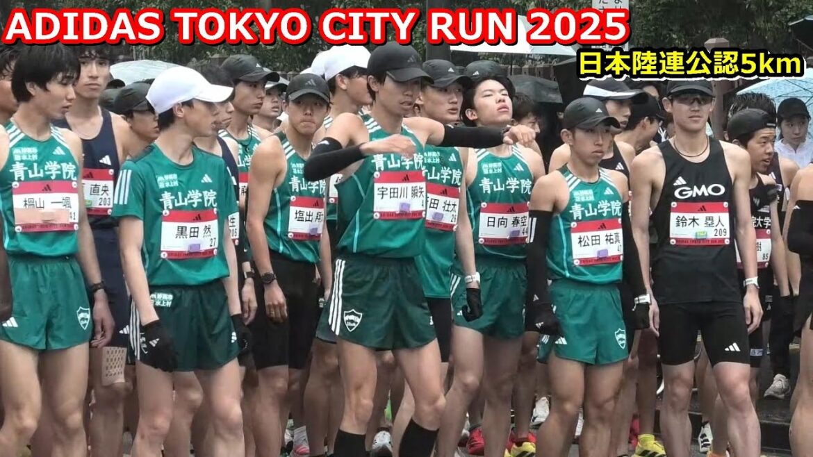 [ADIDAS TOKYO CITY RUN]スタート、2週目（日本陸連公認5km ）