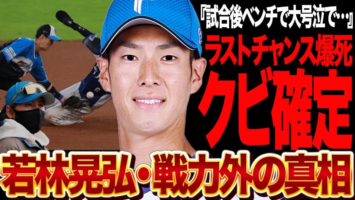 若林晃弘がベンチで大号泣…戦力外確定と言われる真相に言葉を失う！！巨人からトレードも崖っぷち状態だった若林が再起誓うも致命的なミス連発、ラストチャンスを逃した若林の本音が…【プロ野球】
