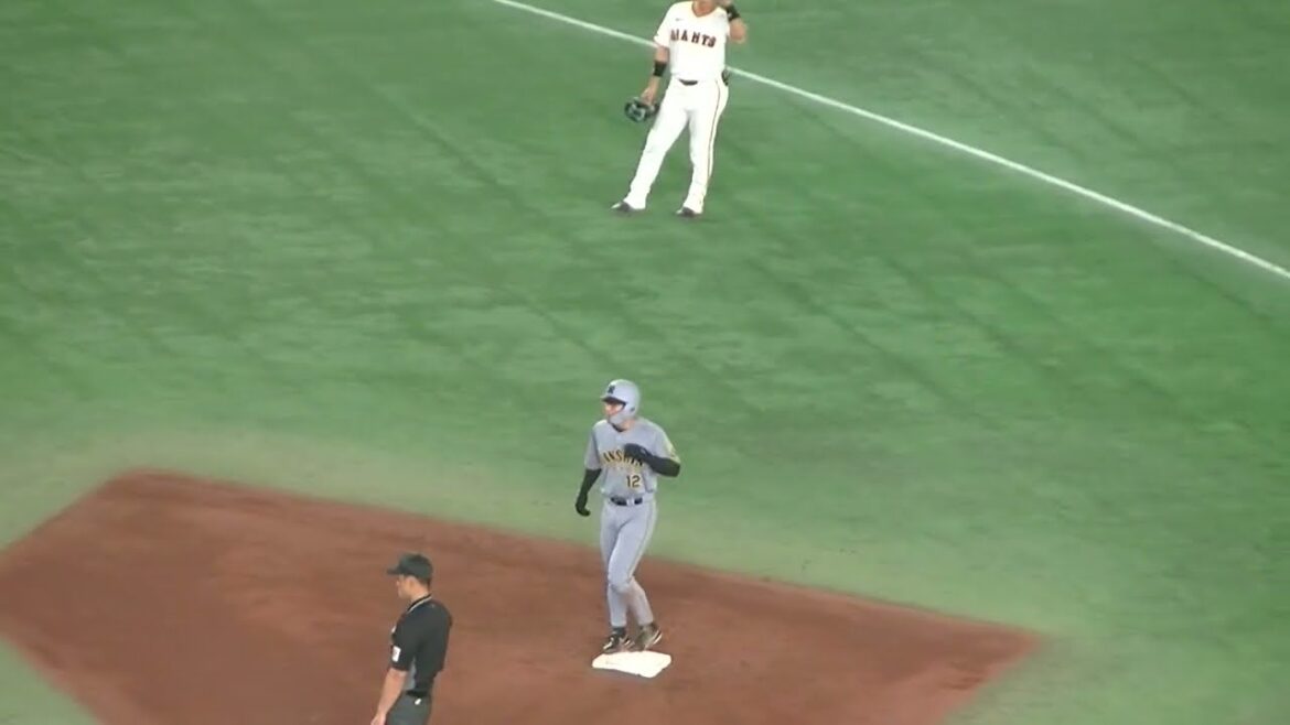 ベンチで近本光司を応援する大山悠輔など　2025年4月4日 東京ドーム 読売ジャイアンツ対 阪神タイガース