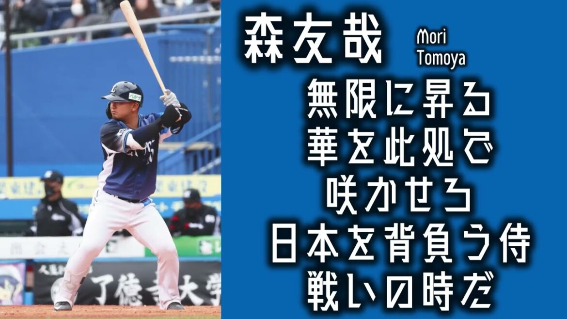 【作業用】森友哉応援歌30分耐久【西武】