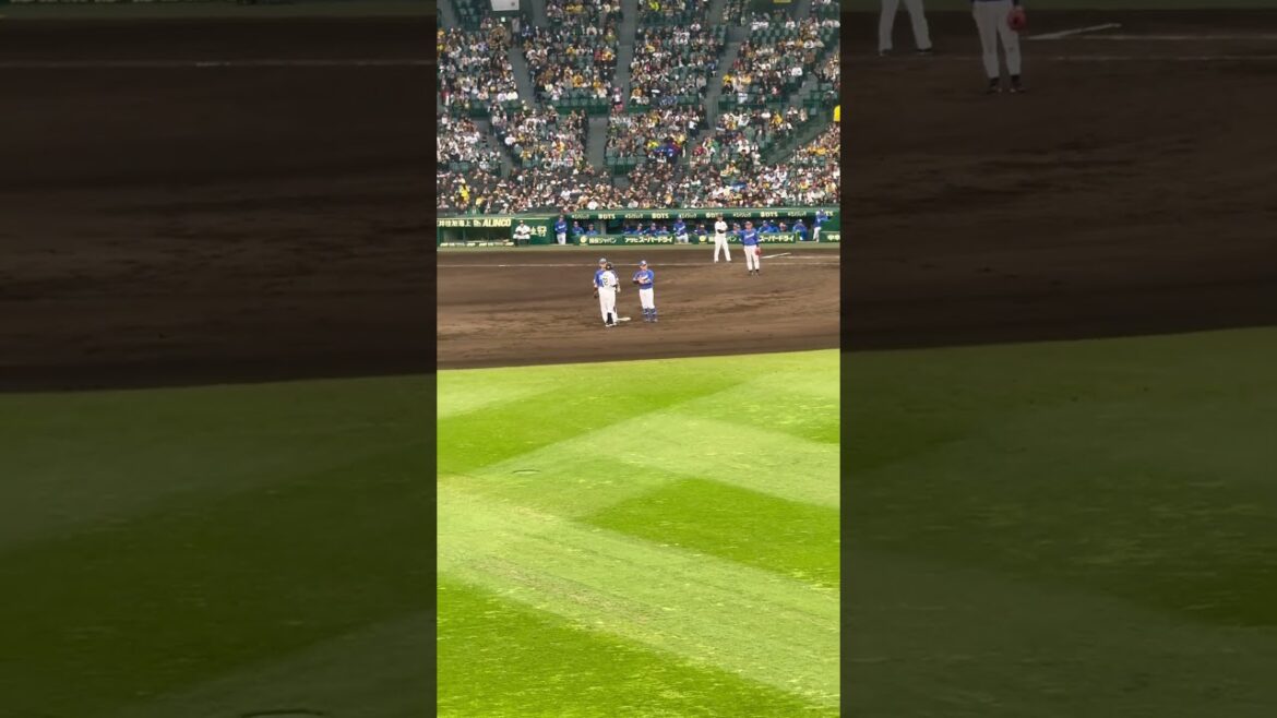 #植田海 盗塁を決めリクエスト判定中に板山と戯れる #阪神タイガース #甲子園 #盗塁 #板山祐太郎