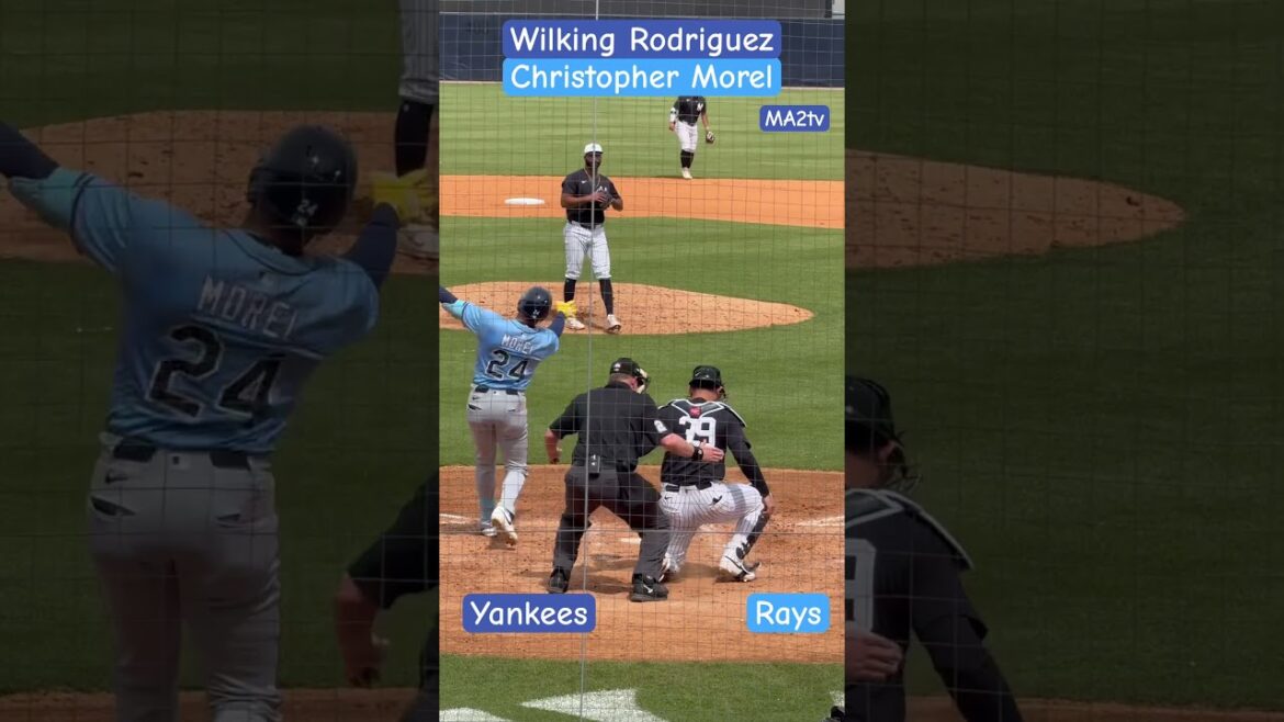 VS⚾️  NYY Wilking Rodriguez vs Rays Christopher Morel #Baseball #Rays #Yankees #MA2tv #MLBB #vs