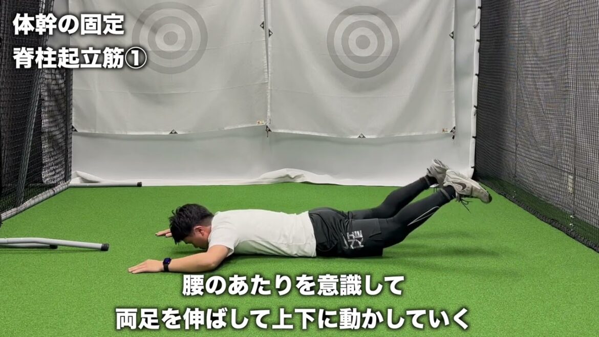 脊柱起立筋 脊柱起立筋