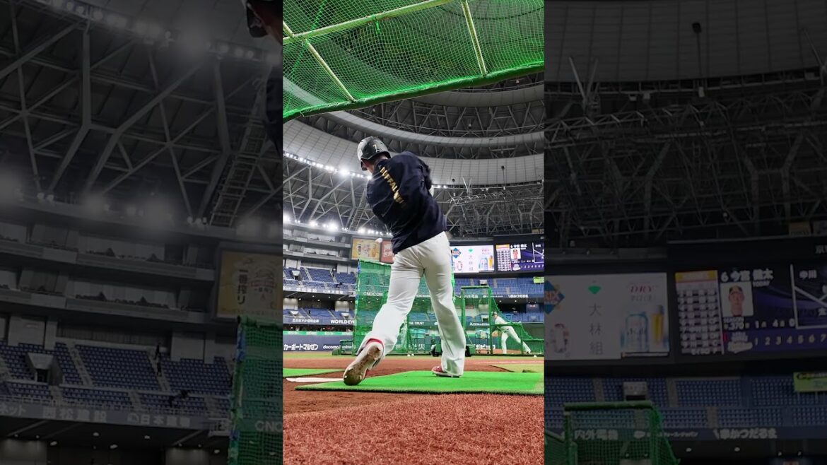 西川龍馬選手バッティング練習⚾️#西川龍馬 #バッティング#オリックス#shorts