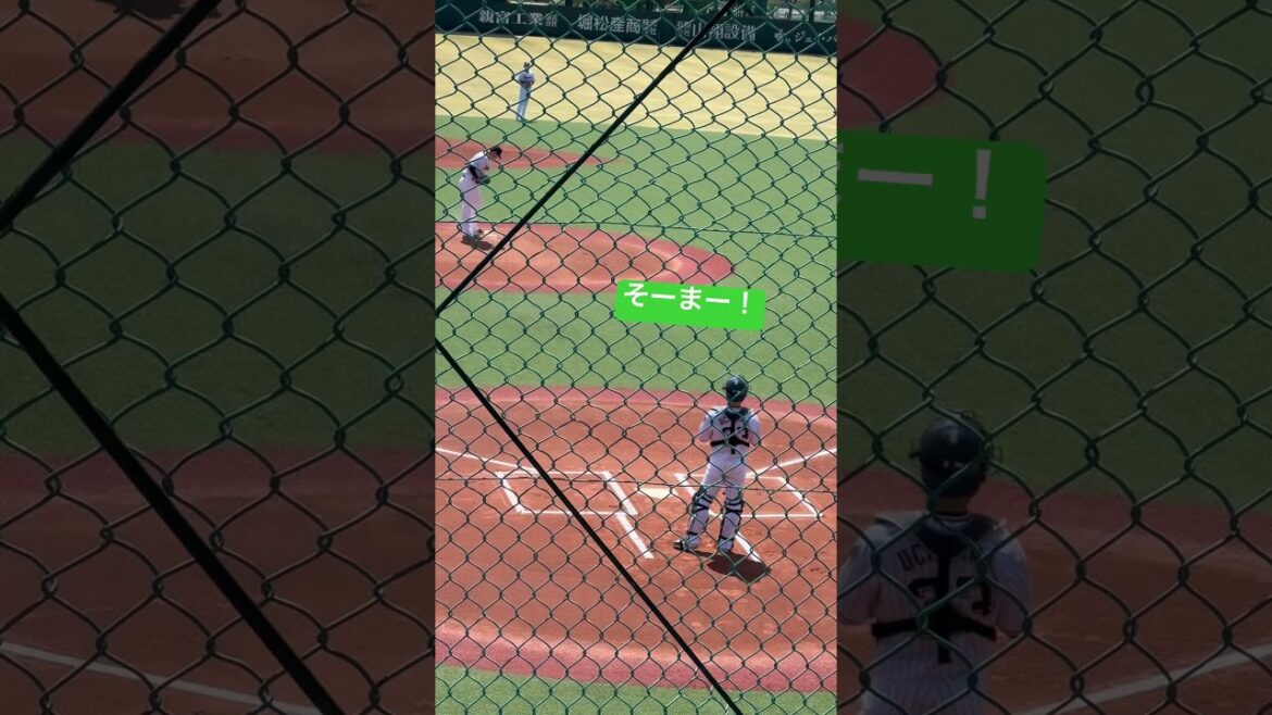 内山壮真選手がんばって！ヤクルトスワローズ二軍