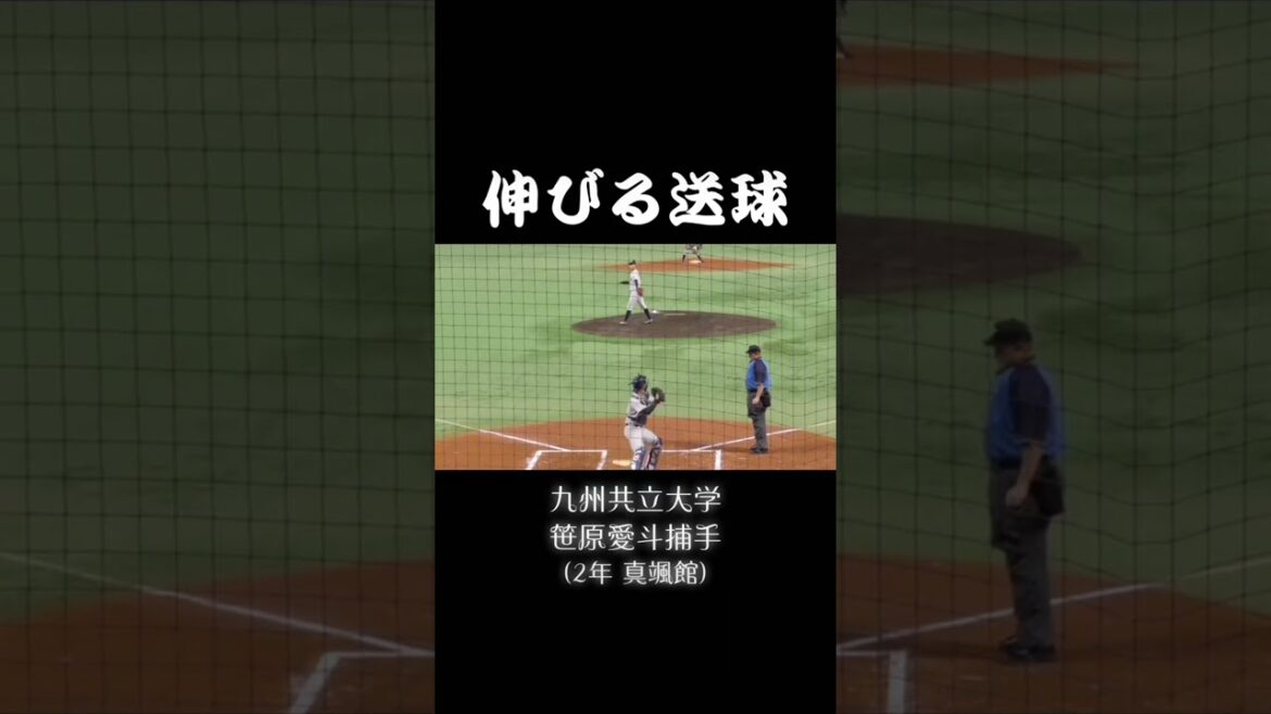 すごい伸びてるように見えるんやけども…九州共立大学 笹原愛斗捕手のイニング間送球！#九州共立大学 #大学野球2022 #野球好き #shorts