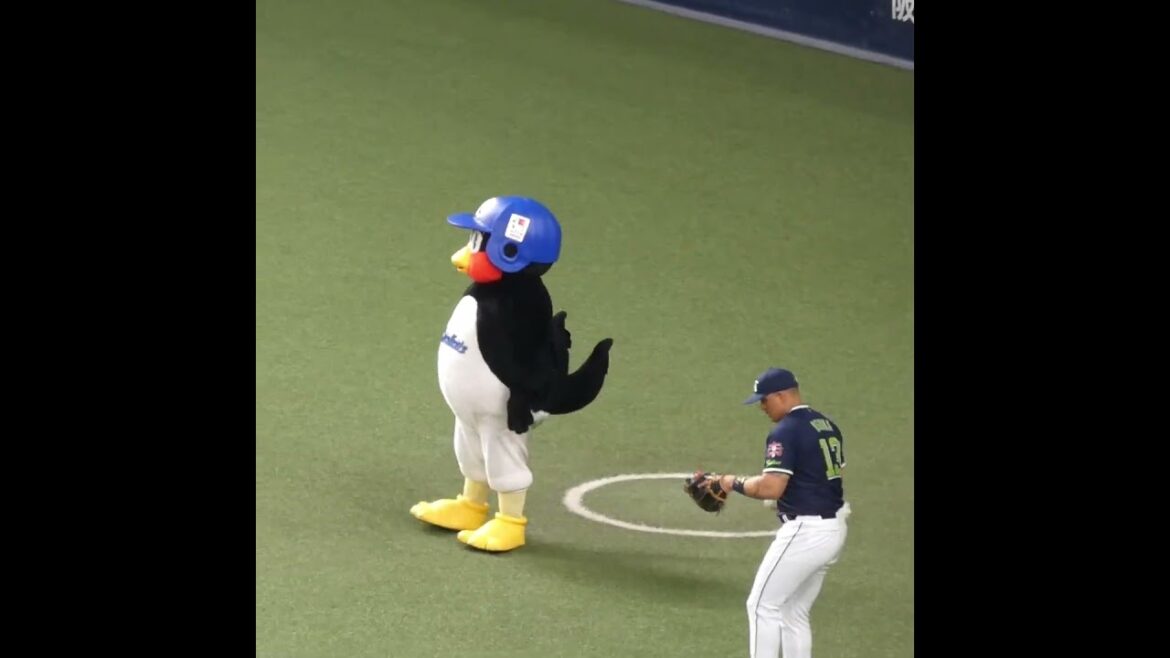 つば九郎 先生、ホセ・オスナ 選手のキャッチボールを見守る 　#東京ヤクルトスワローズ #shorts