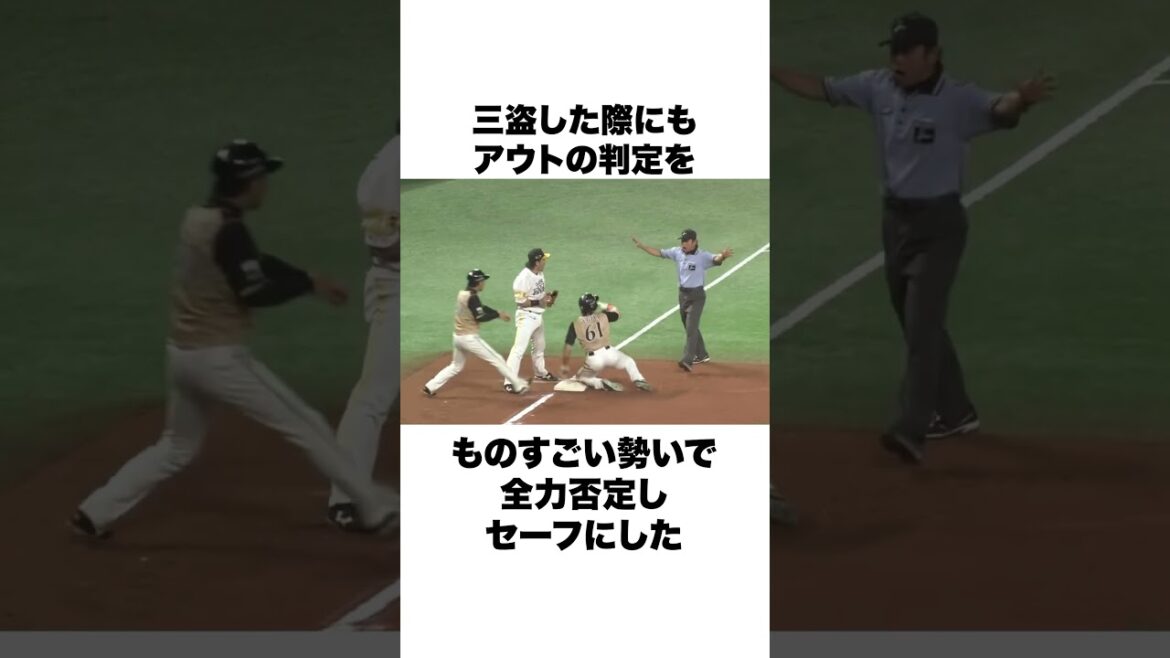 「NPB史上最高のアピール芸人」リクエストする杉谷拳士についての雑学 #野球 #野球雑学#石井一久