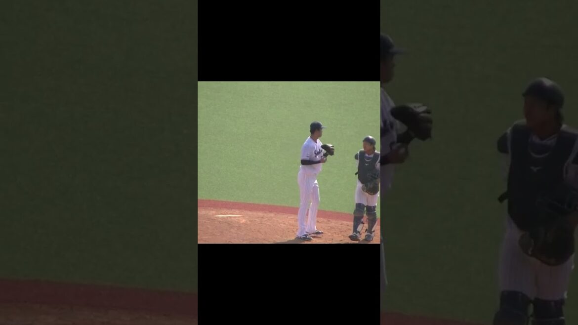 【野球選手フォーム集】ヤクルト丸山翔大の投球フォーム（2024年6月14日 ヤクルトスワローズ対 日本ハムファイターズ）