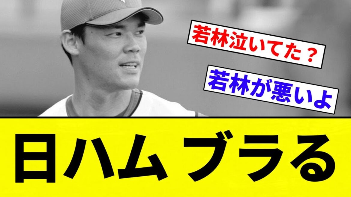【若林...】日ハム ブラる【プロ野球反応集】【2chスレ】【なんG】