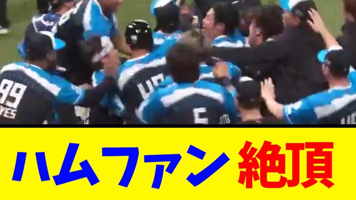 ハムファン絶頂