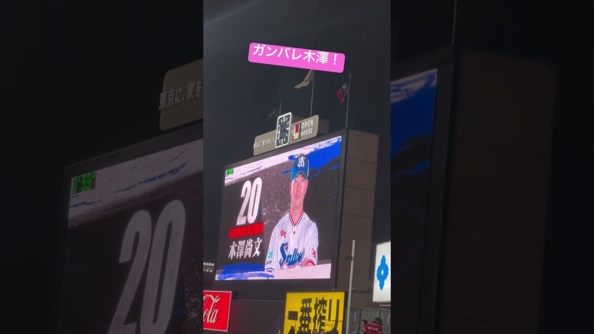 木澤尚文選手がんばれ！ヤクルトスワローズ