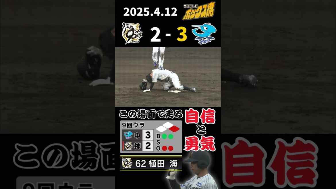 【植田9回2死から決死の盗塁！あの時の鳥谷のよう！】アウトになれば負けが確定する場面で走る勇気と自信！ #サンテレビボックス席