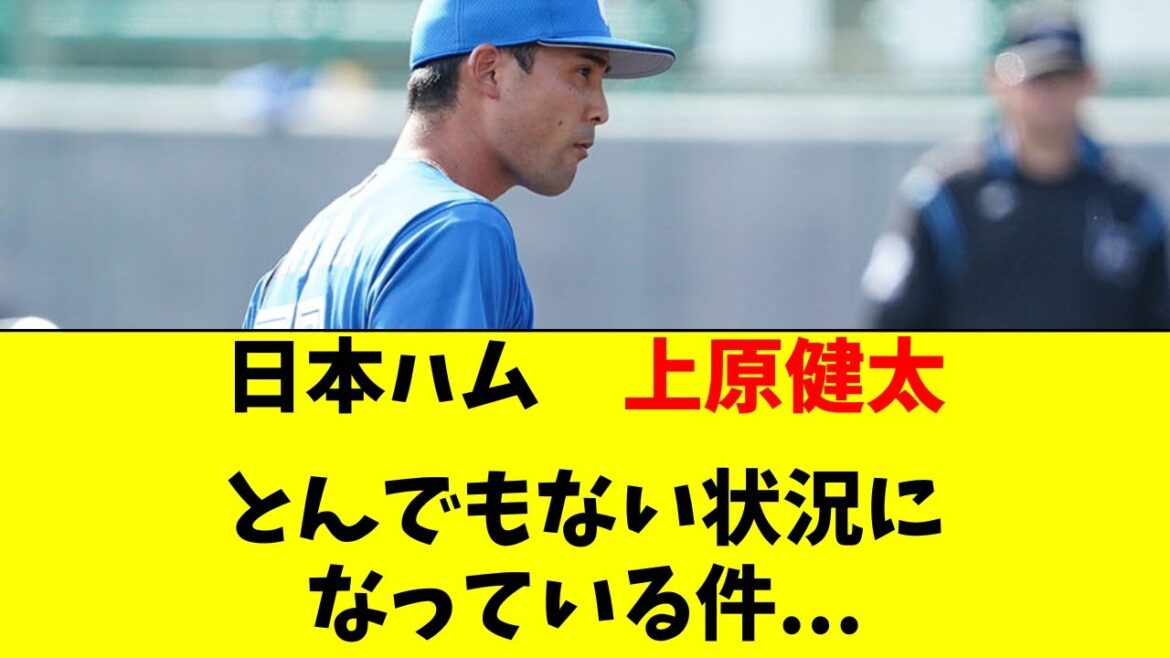 【日ハム】上原健太がとんでもない状況になってる件。。