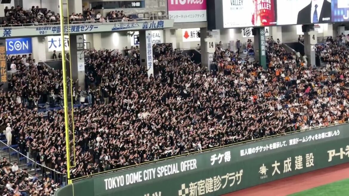 千葉ロッテマリーンズ 小川龍成 応援歌 東京ドーム