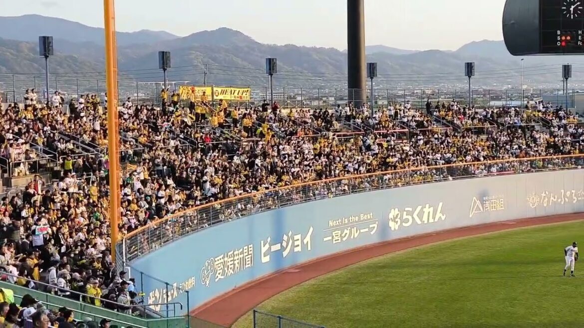 【プロ野球】JERAセントラル・リーグ公式戦 東京ヤクルトスワローズ vs 阪神タイガース 森下翔太選手が1点入れました! 2025 4/15 【プロ野球】JERAセントラル・リーグ公式戦 東京ヤクルトスワローズ vs 阪神タイガース 森下翔太選手が1点入れました! 2025 4/15
