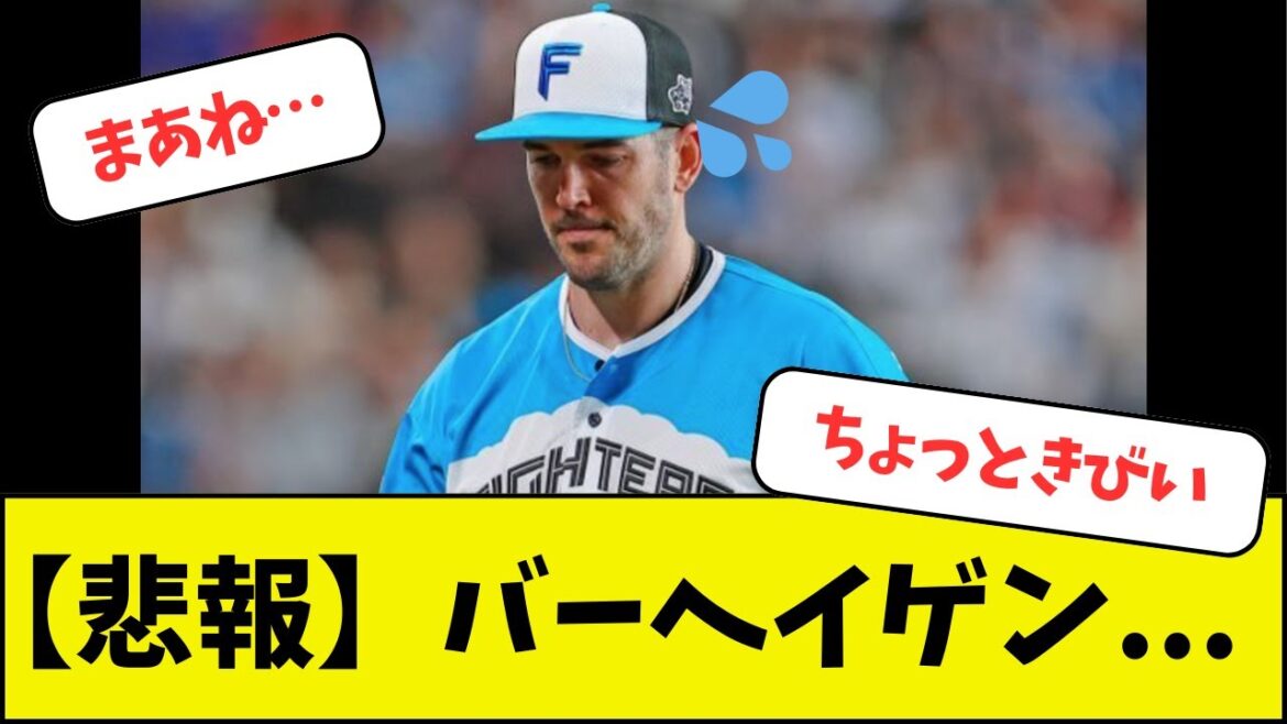 【悲報】バーヘイゲン