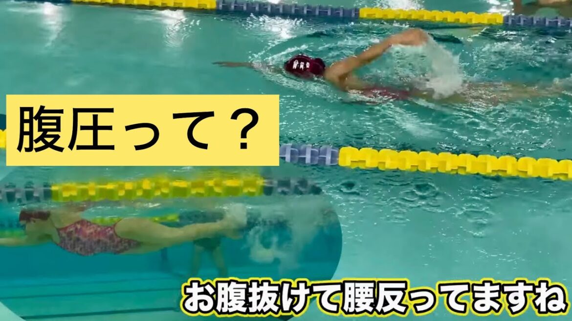 教えて!くねくね泳ぎを改善したい!体幹と腹圧について 教えて!くねくね泳ぎを改善したい!体幹と腹圧について
