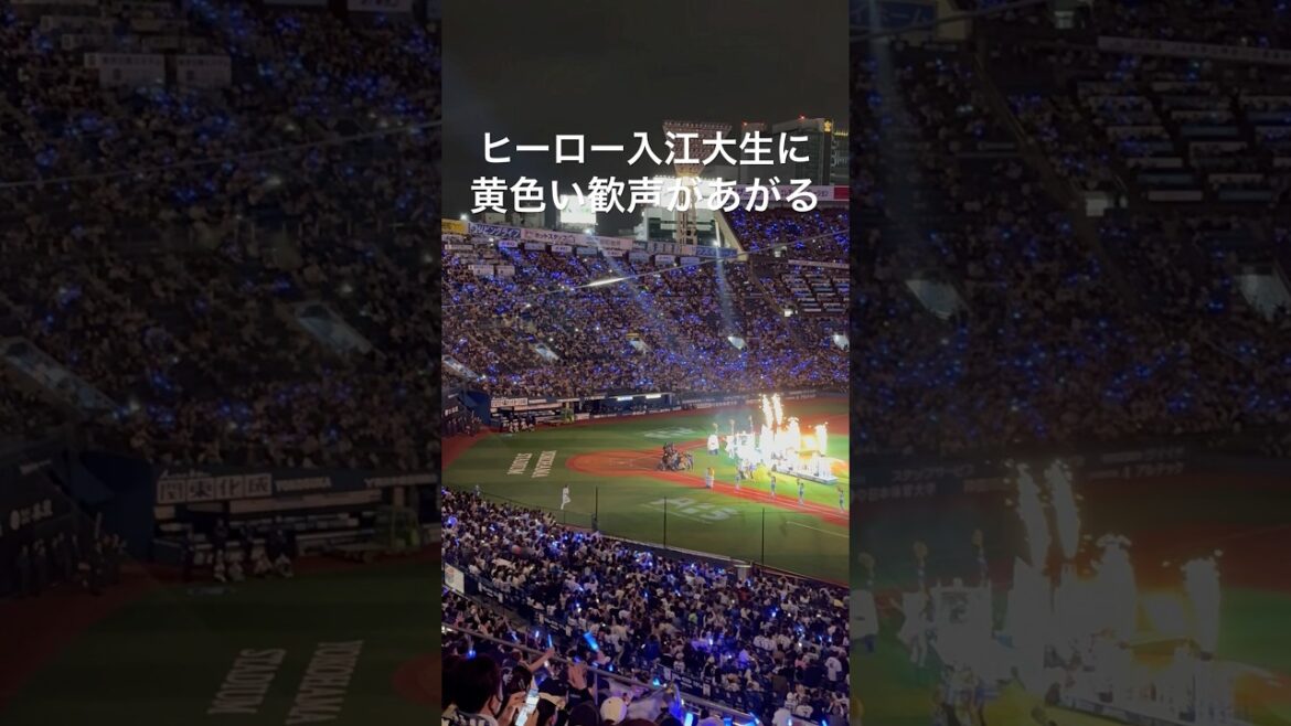 【597日ぶり！】ヒーロー入江大生に黄色い歓声が！ #baystars #プロ野球 #横浜denaベイスターズ #横浜スタジアム #入江大生 #開幕戦