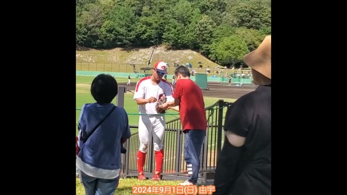 20240901　いよいよ広島東洋ｶｰﾌﾟ由宇練習場へ入場！広がる球場風景　スタンドの様子　#shorts@由宇球場［ｳｴｽﾀﾝ･ﾘｰｸﾞ 2軍戦］由宇練習場