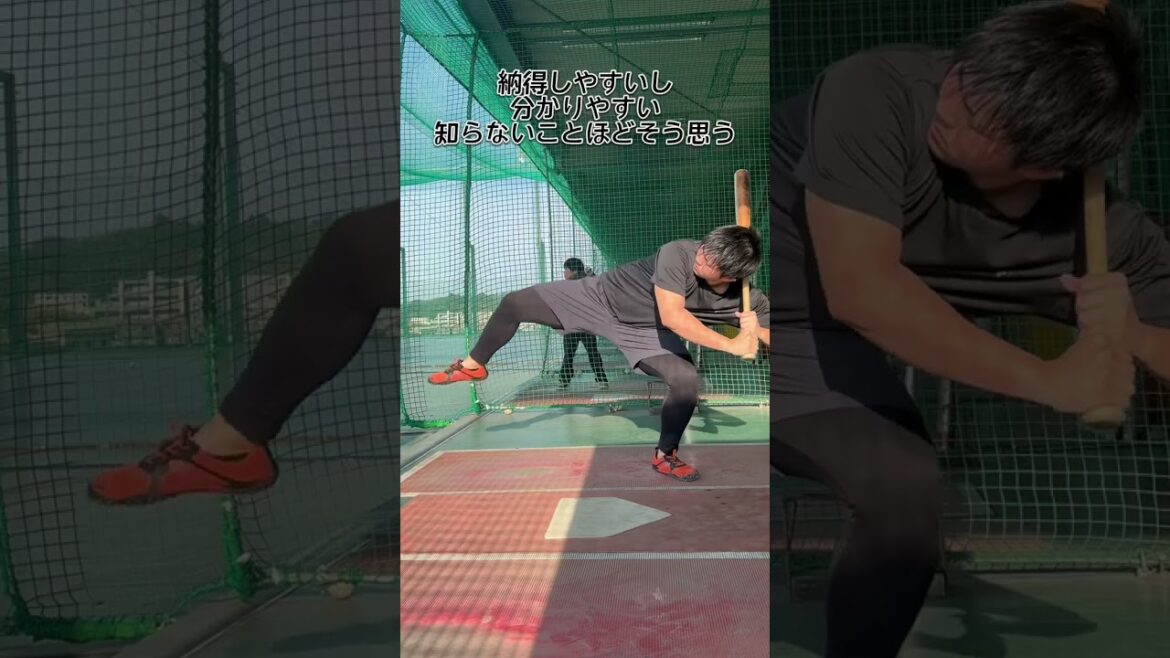 権威や数字は確かに楽だが…  #shorts #baseball #野球 #batting #バッティング #野球のミカタ #打撃探究部屋