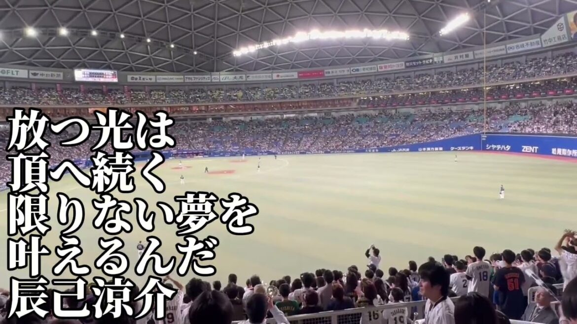 【侍JAPAN】辰己涼介応援歌 【侍JAPAN】辰己涼介応援歌