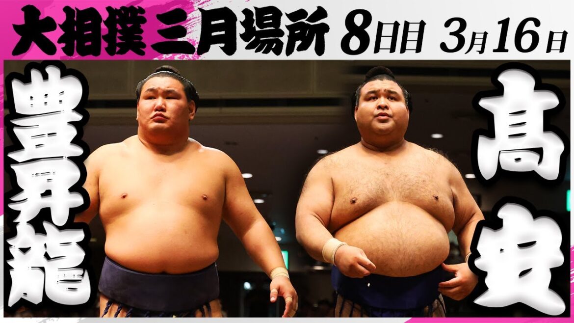 大相撲　豊昇龍ー髙安＜令和7年三月場所・８日目＞SUMO