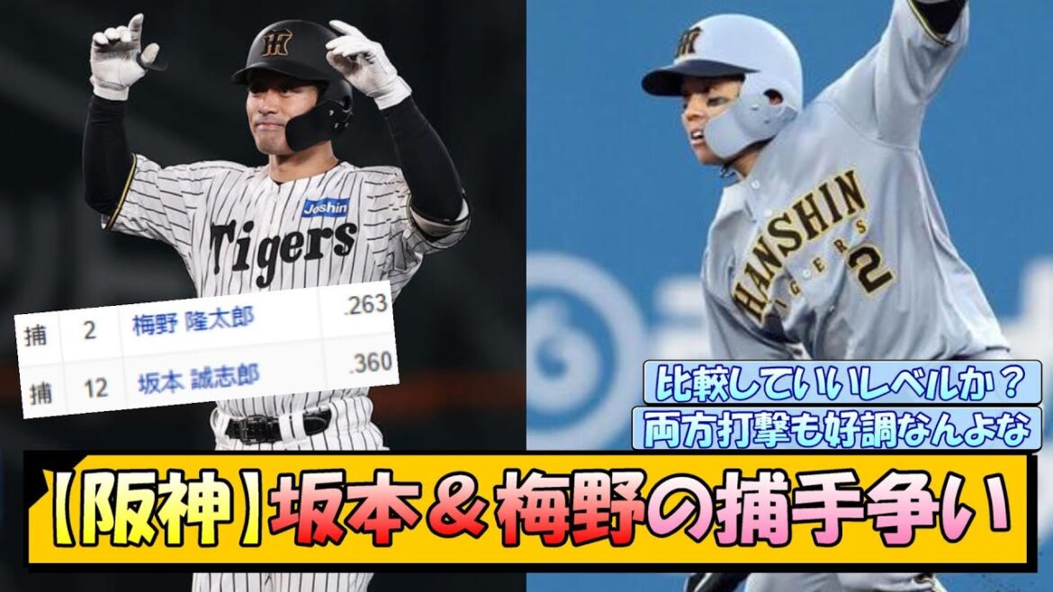 【阪神】坂本＆梅野の捕手争い