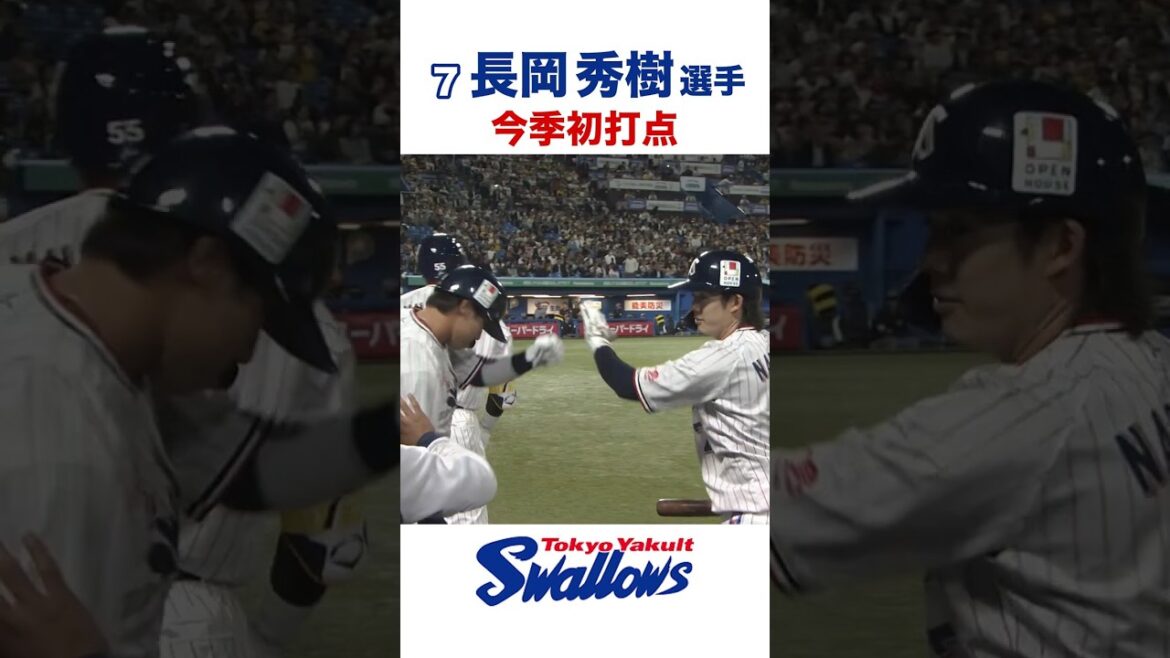 長岡秀樹選手 今季初打点 #swallows #長岡秀樹 #shorts