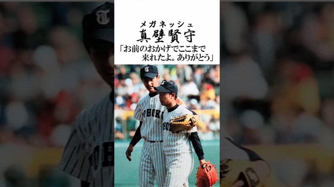 【メガネッシュ】ダルビッシュと真壁賢守の絆 #甲子園 #高校野球 #東北高校 #shorts