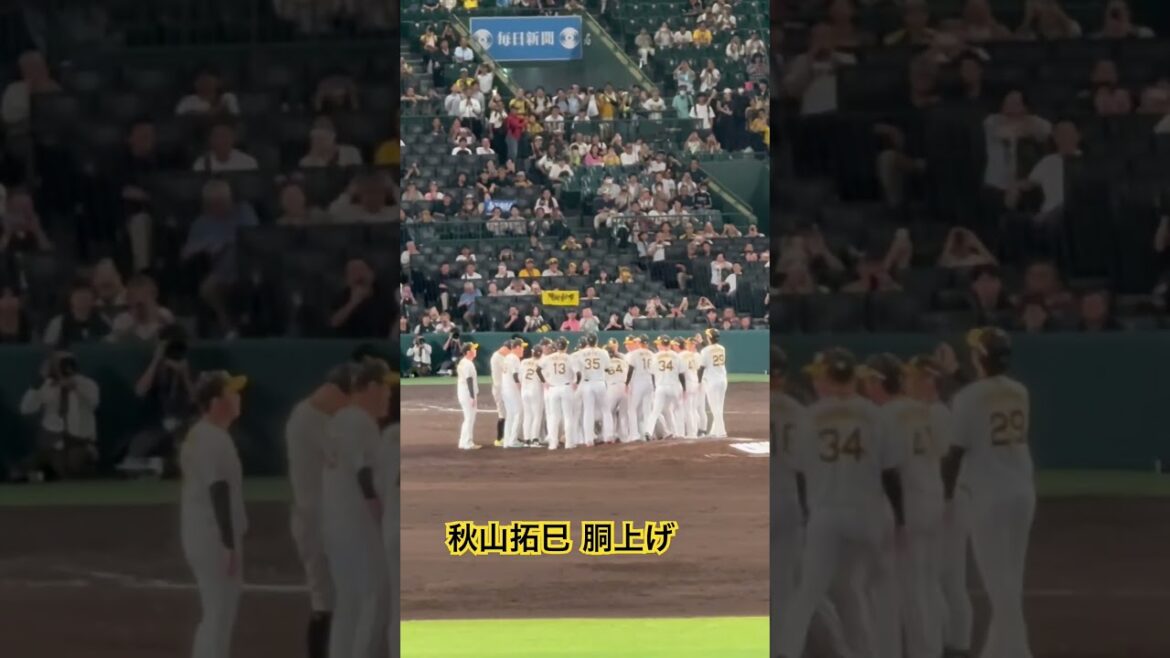 秋山拓巳(102kg)胴上げ 阪神一筋15年 本当にお疲れ様でした！