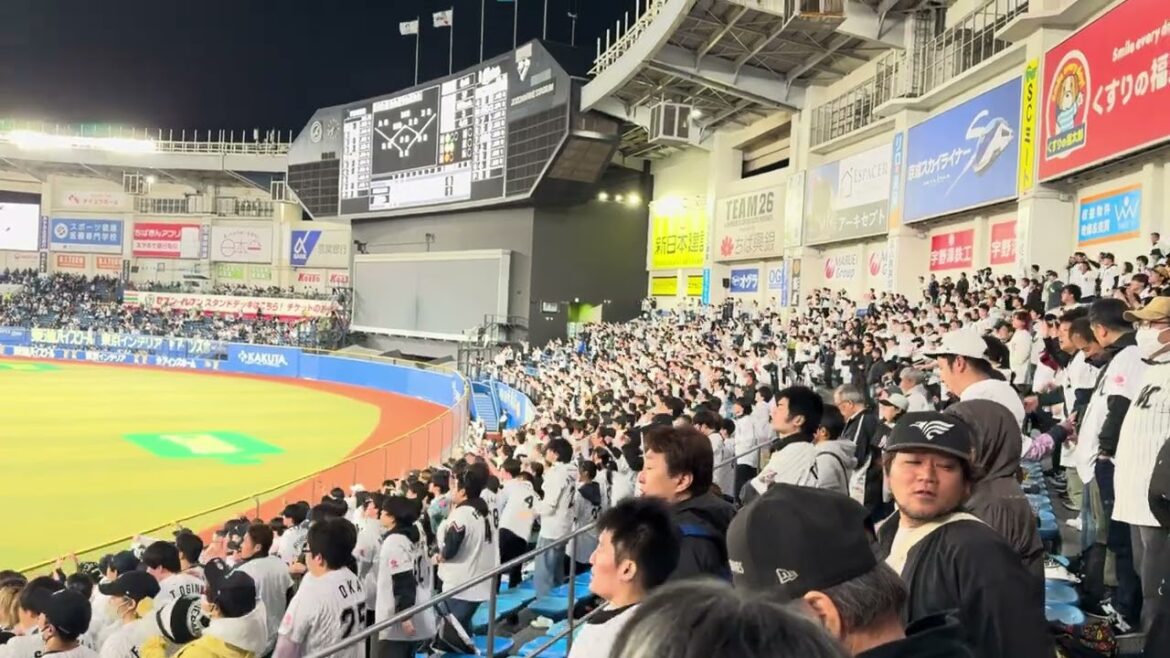 藤原恭大応援歌  2025/4/15 ロッテ vs ファイターズ  #chibalotte