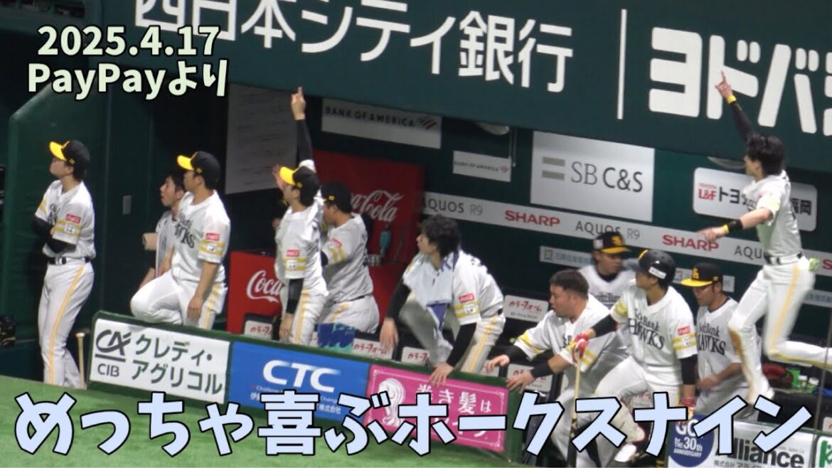 周東佑京大興奮‼️ホークス中村晃‼️勝ち越しホームラン🔥ホークスナイン皆で晃に拍手喝采👏2025.4.17⚾️ソフトバンク対楽天