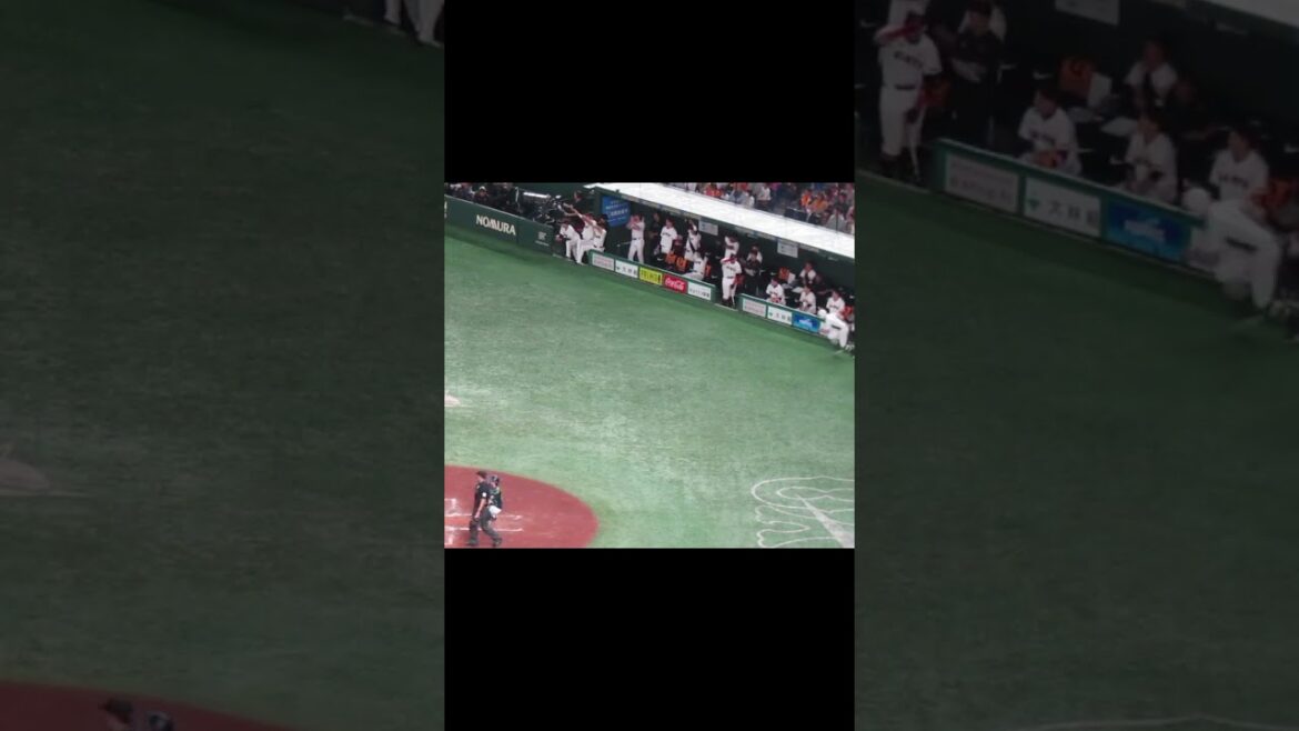 佐々木俊輔ヒットで喜ぶベンチと続く吉川尚輝の打席2024年5月1日 読売ジャイアンツ 対 ヤクルトスワローズ