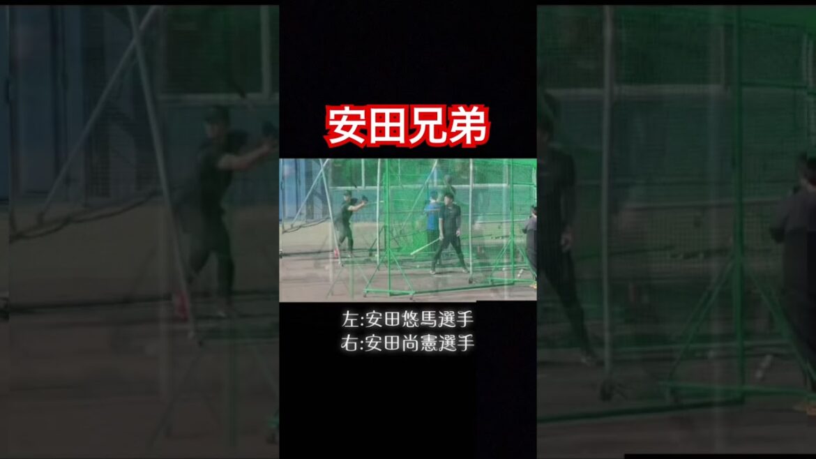 仕上がってる！安田兄弟！#shorts
