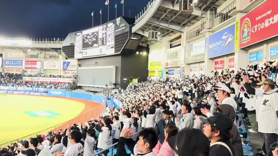 佐藤都志也応援歌2025/4/15 ロッテ vs ファイターズ #chibalotte 佐藤都志也応援歌2025/4/15 ロッテ vs ファイターズ #chibalotte