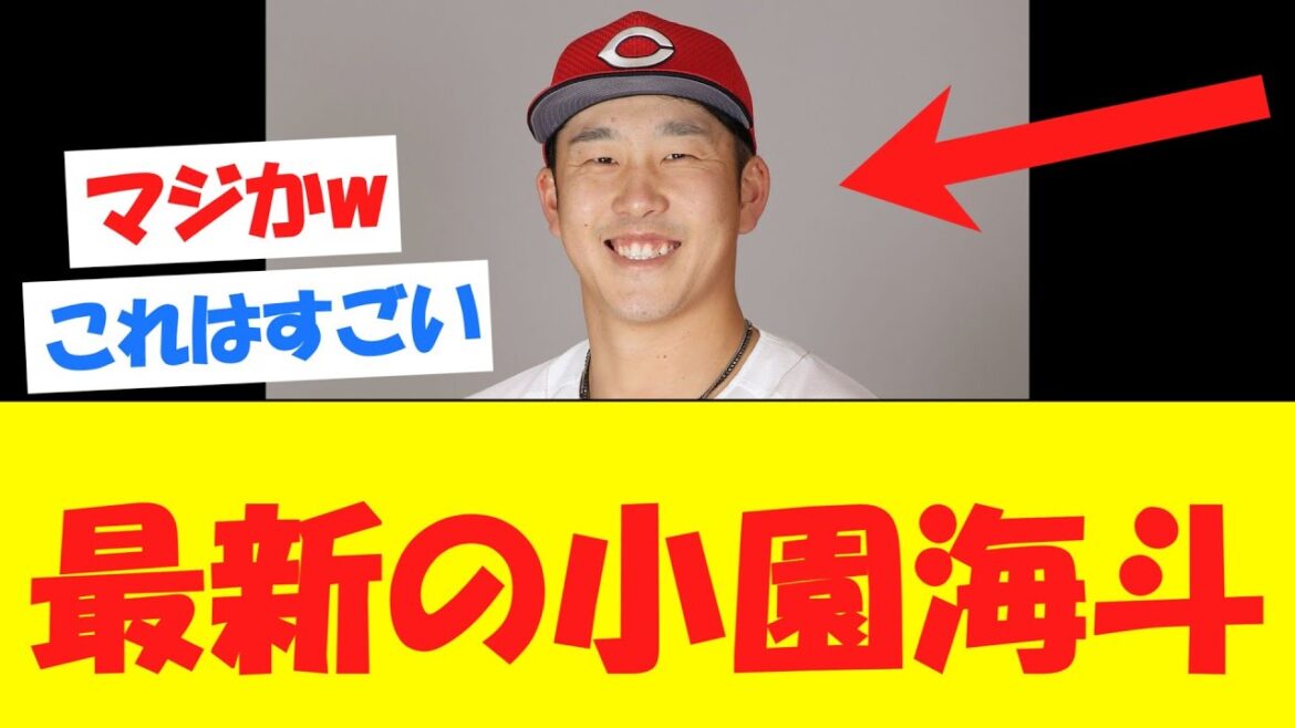 【朗報】小園海斗、ガチでとんでもないことになっている模様ｗｗｗｗ