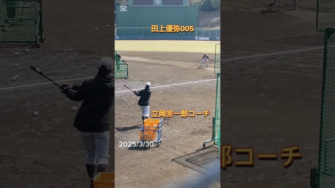 【GIANTS】 #田上優弥 005の守備練習 ノックは #立岡宗一郎 コーチ #shorts #巨人 #ジャイアンツ #プロ野球