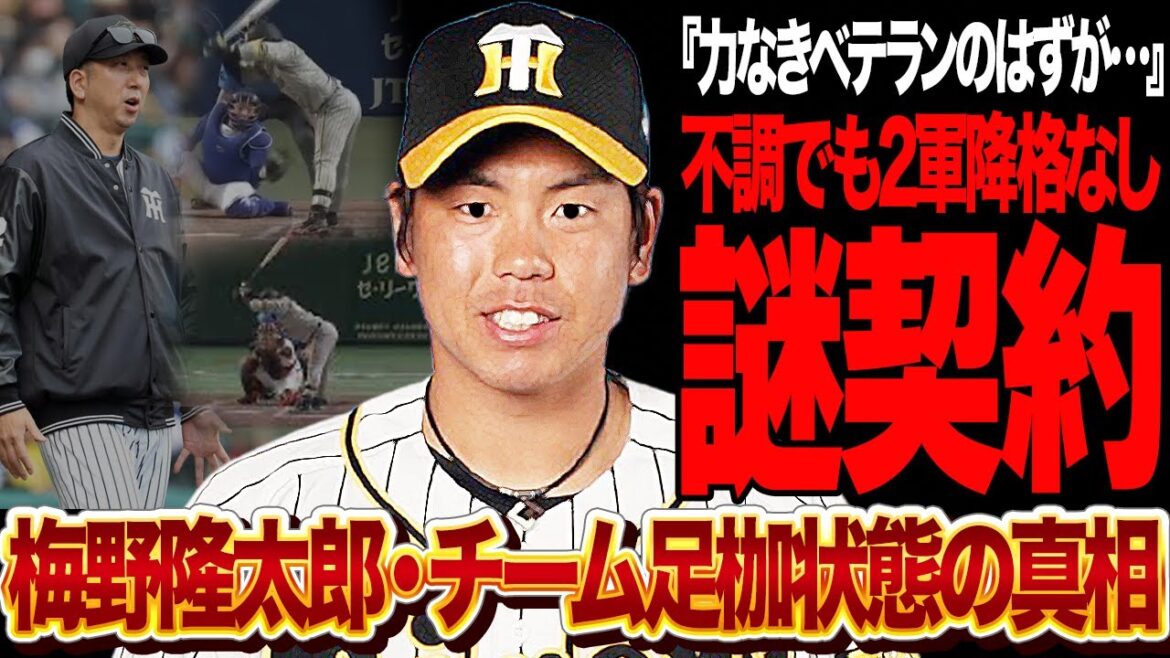 梅野隆太郎が阪神の”足枷状態”でも2軍降格しない衝撃の真相判明…藤川球児監督も名言していた『力なきベテラン』に該当するもスタメンで居続ける理由、2軍降格キャンセルの謎契約が…【プロ野球】