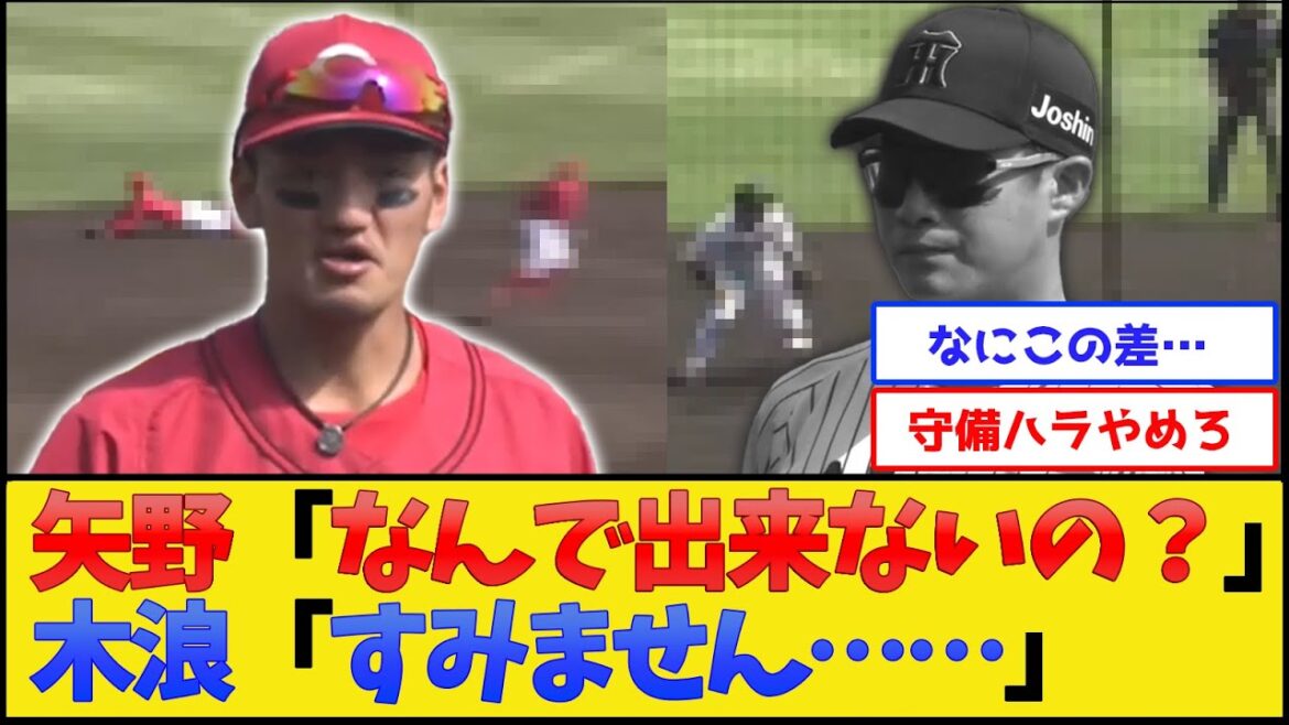 広島、守備ハラスメントwww【阪神タイガースvs広島東洋カープ】【プロ野球なんJ 2ch プロ野球反応集】
