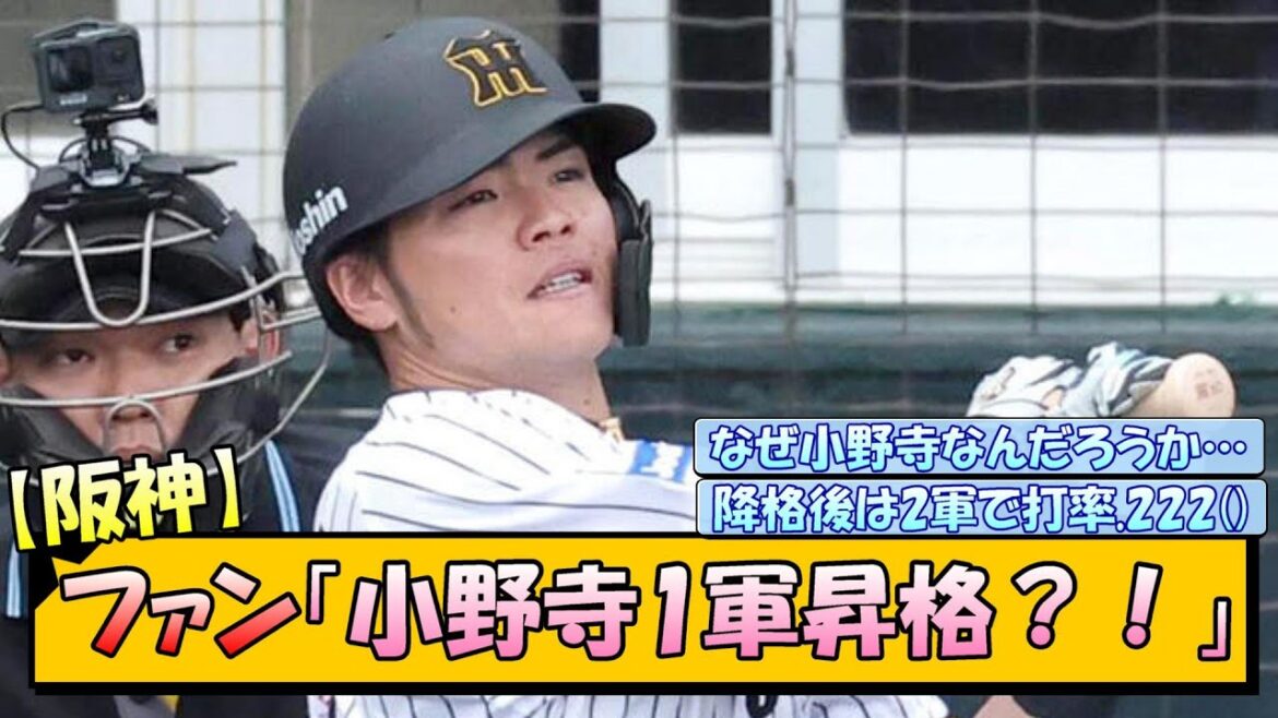 【阪神】ファン「小野寺1軍昇格？！」