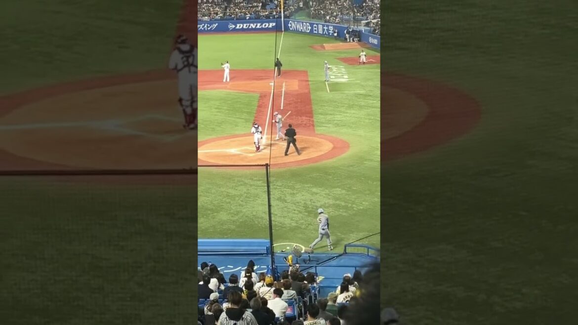 楠本泰史の打席前ルーティン #hanshintigers #楠本泰史