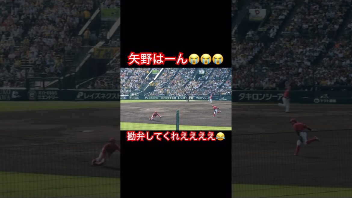 矢野の守備ヤバいって #広島 #阪神タイガース #矢野 #守備 #shorts