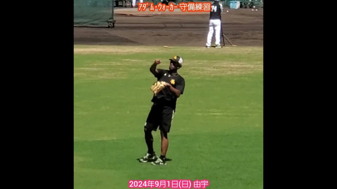 20240901　退団したｱﾀﾞﾑ･ｳｫｰｶｰ　守備練習　#shorts　福岡ｿﾌﾄﾊﾞﾝｸﾎｰｸｽ2軍@由宇球場［ｳｴｽﾀﾝ･ﾘｰｸﾞ 2軍戦］由宇練習場