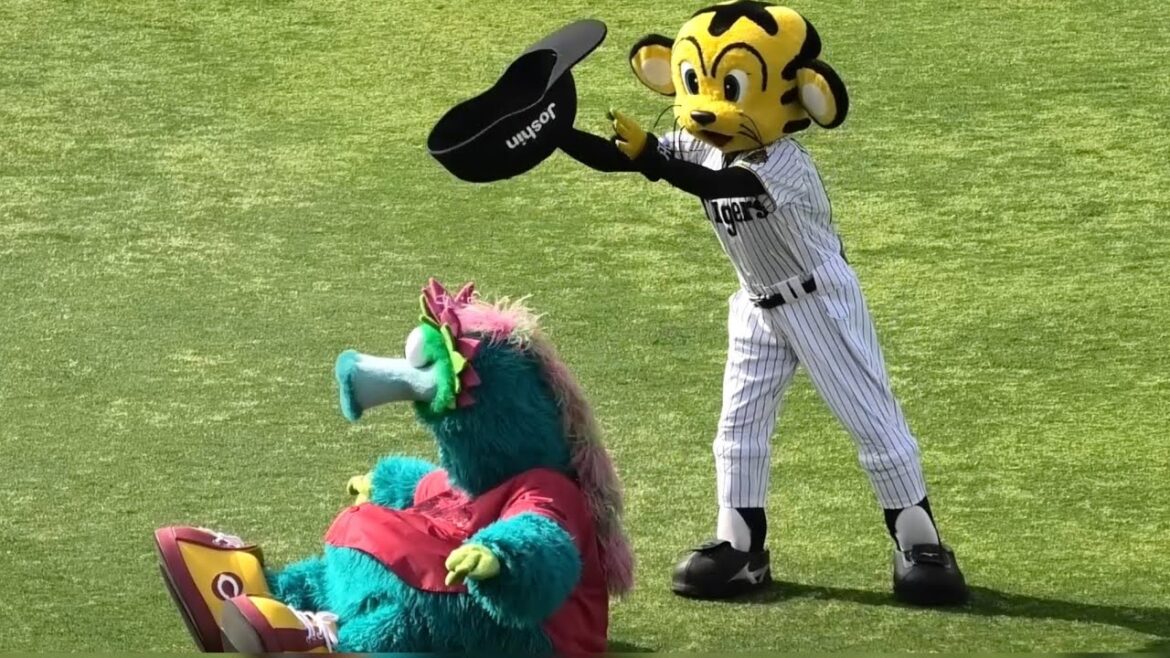 スラィリー とトラッキーで空中くるりんぱ！広島東洋カープ 阪神甲子園球場 2025年4月19日