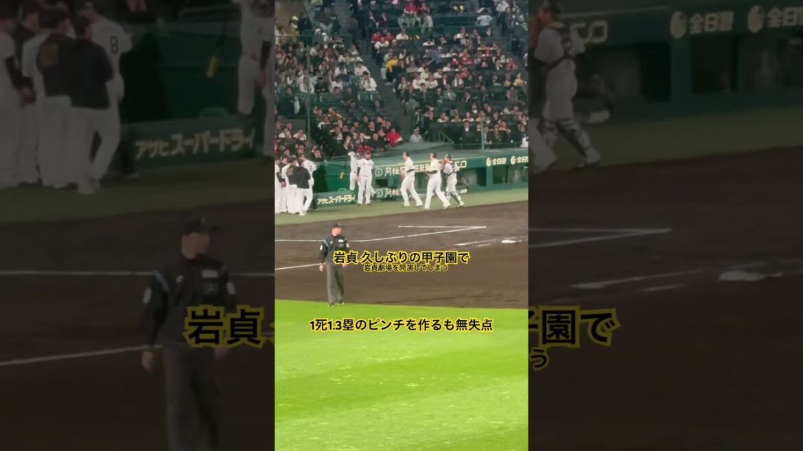 #岩貞祐太 久しぶりの甲子園で劇場を開演してしまう #阪神タイガース