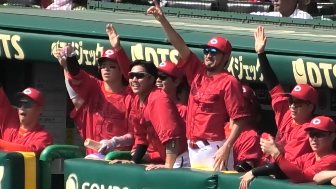 弟子の活躍に最高に喜ぶ菊池！矢野雅哉の先制タイムリー内野安打の瞬間！広島東洋カープvs阪神タイガース 2025年4月19日